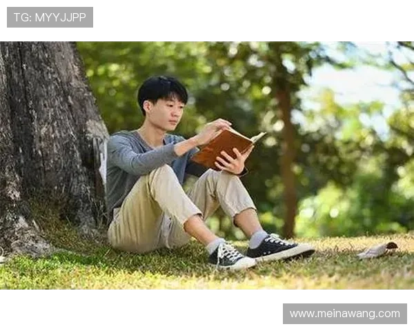 新壕天地官网用户评价与反馈，真实体验分享助你做出明智的选择