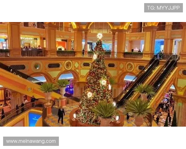 澳门娱乐指南：澳门必去的娱乐景点和特色表演推荐