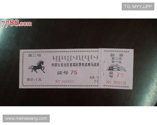 如何选择优质的赛马会投注站提升中奖几率的实用技巧与建议